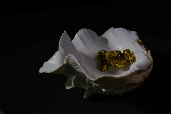 a white flower with yellow center